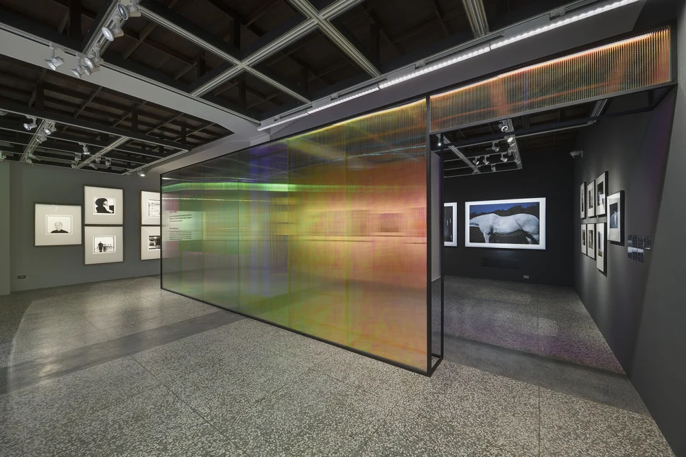 Specularity and Reflexivity — Exhibition Space